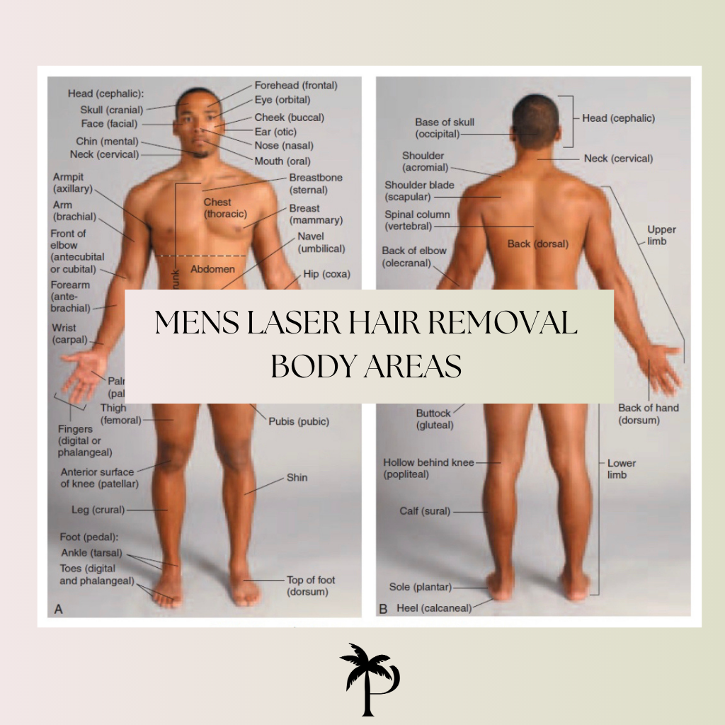 A diagram showing the different body areas suitable for laser hair removal for men, including the bikini area, chest and back, face and neck, and arms and legs, with arrows pointing to each area.