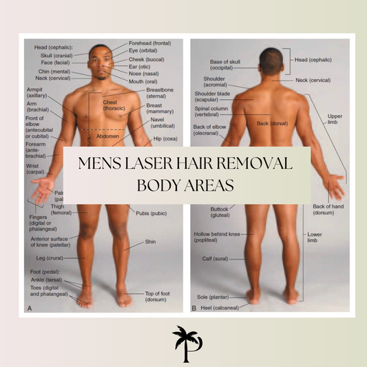 A diagram showing the different body areas suitable for laser hair removal for men, including the bikini area, chest and back, face and neck, and arms and legs, with arrows pointing to each area.